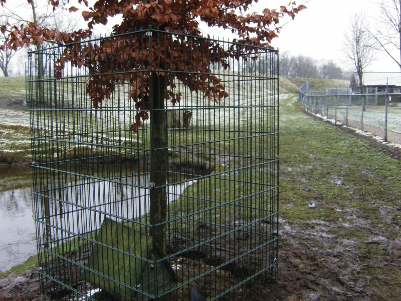 herkwerk bomen